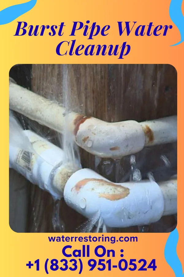 Burst Pipe Water Cleanup in Edon, OH