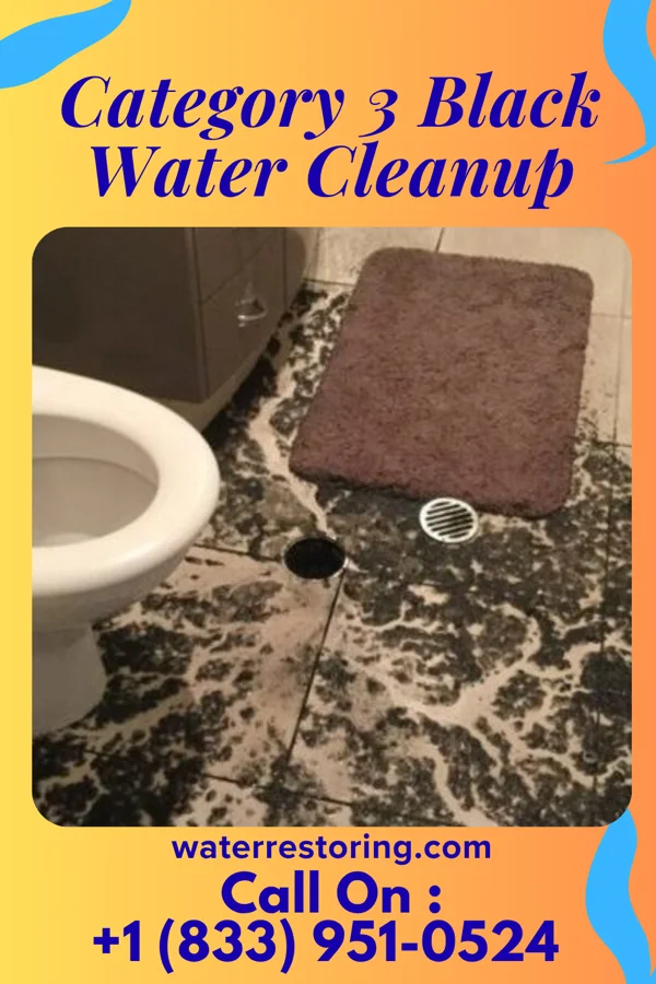 Category 3 Black Water Cleanup in Edon, OH