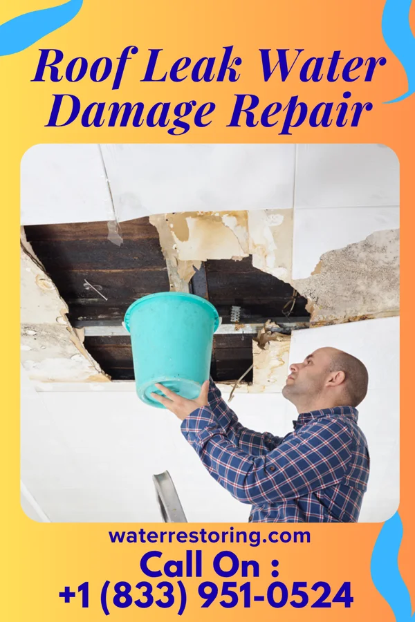 Roof Leak Water Damage Repair in Edon, OH