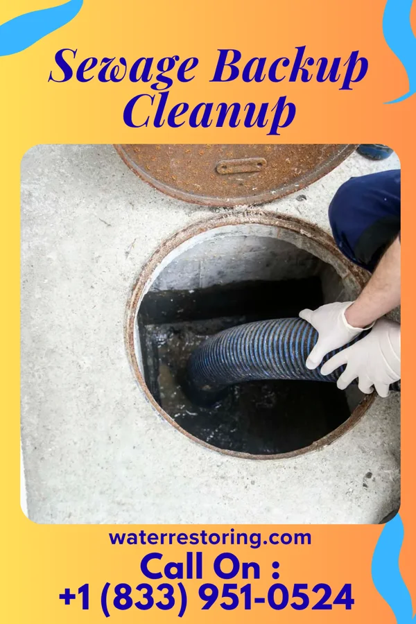 Sewage Backup Cleanup in Edon, OH
