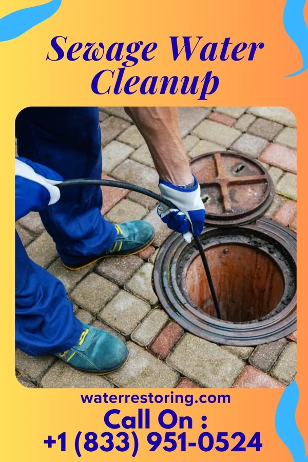Sewage Water Cleanup in Edon, OH